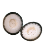 Carpet Cleaning Rotary Brush