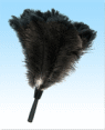 Threaded Duster Head