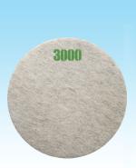 3000 GRIT Daily Maintenance 21" 2EA/CASE