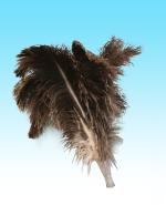 Threaded Duster Head W/O Handle