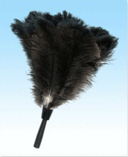 Duster (Ostrich Feather) Threaded Duster Head W/O Handle