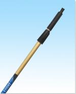 REACH 2 Section Pole